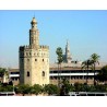 Torre del Oro Sevilla dibujado Arte y decoración Lienzos predibujados para pintores 